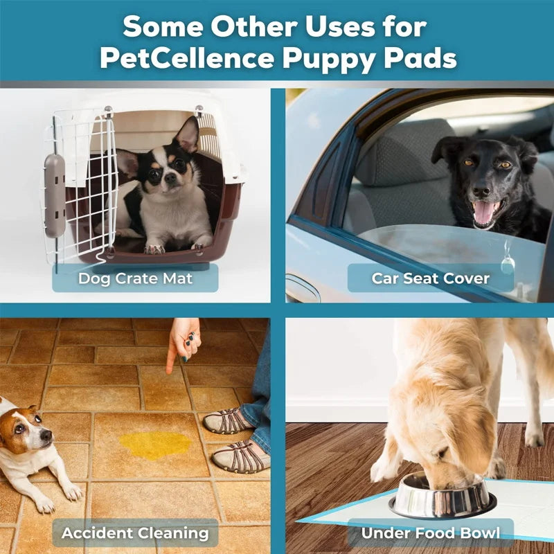 100pc Pet diapers 45*60cm Super Absorbent Pet Diaper Dog Training Pee Pads Disposable Healthy Nappy Mat For Cats Dog