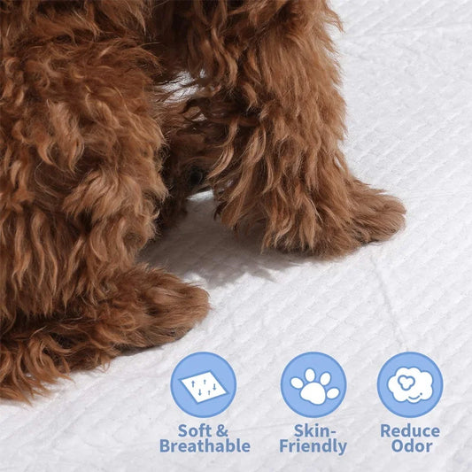 100pc Pet diapers 45*60cm Super Absorbent Pet Diaper Dog Training Pee Pads Disposable Healthy Nappy Mat For Cats Dog