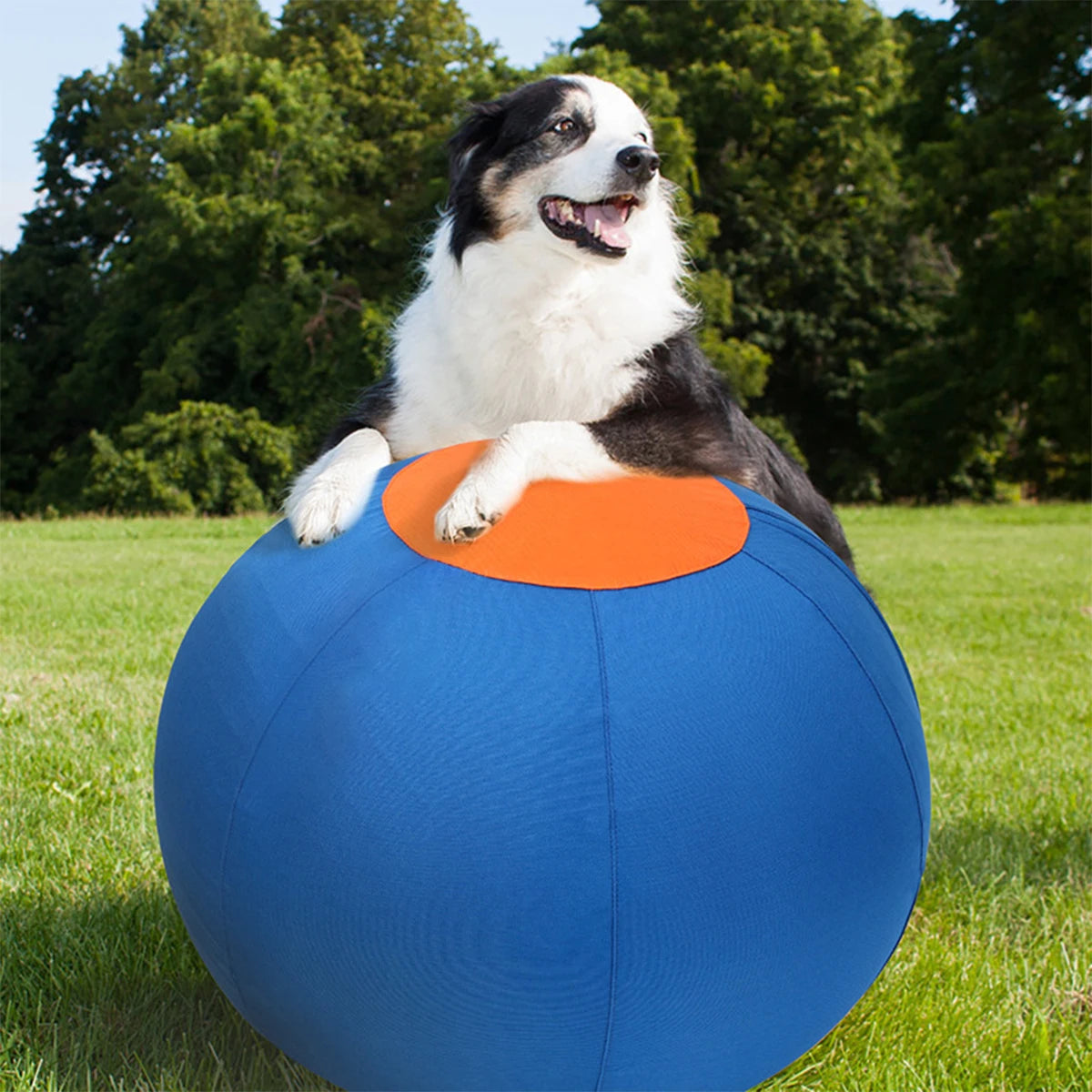 Four-legged Animal Game Ball Outdoor Pet Dogs Herding Ball Inflatable Interactive Toy Ball Horse Training Agility Equipment Ball